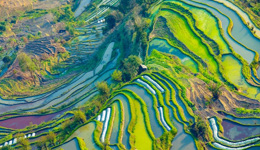 走进东西湖区TVC拍摄：解锁本地化场景与创意镜头的完美融合